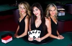x7d Bingo Tradicional